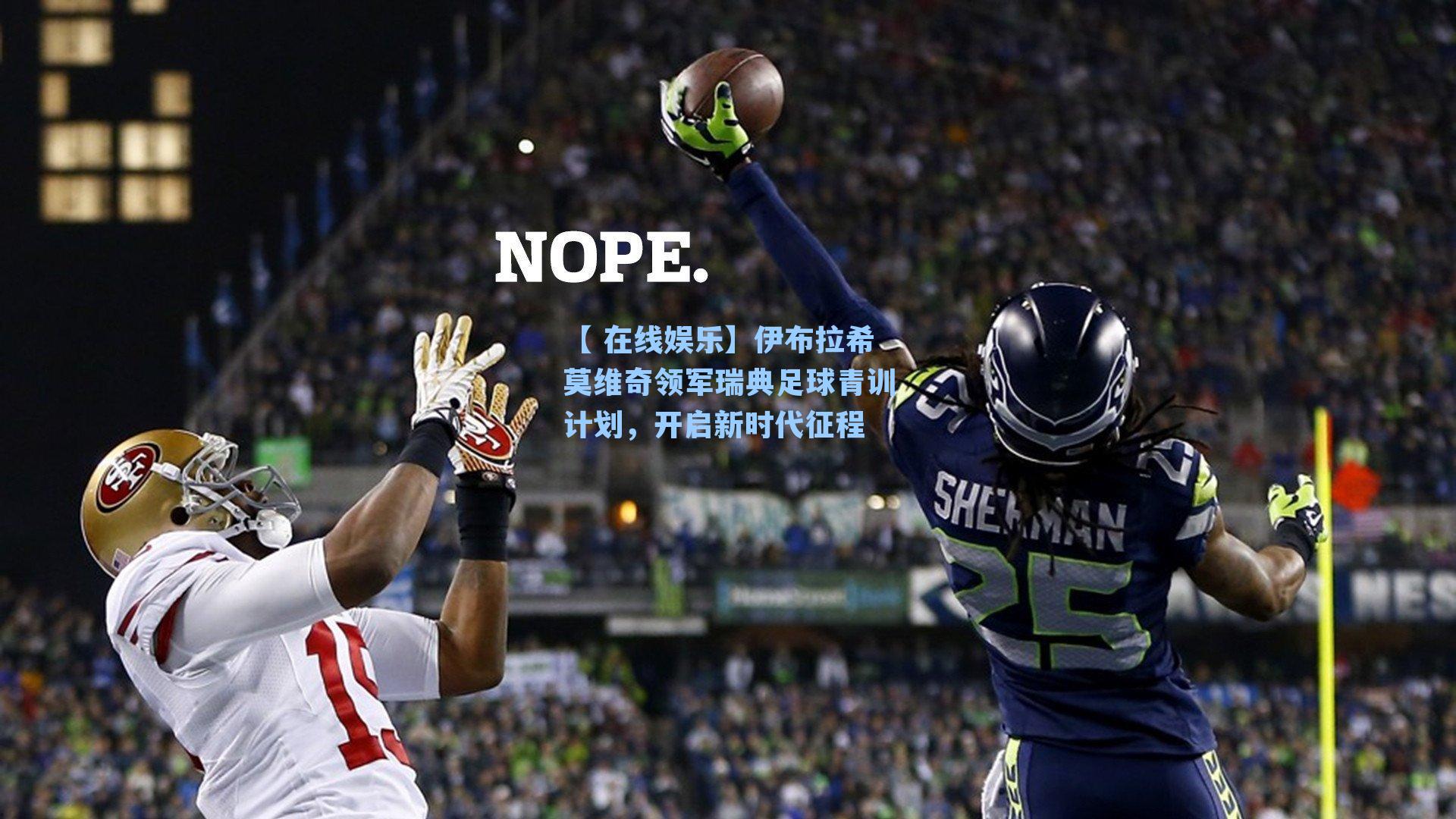 伊布拉希莫维奇领军瑞典足球青训计划，开启新时代征程