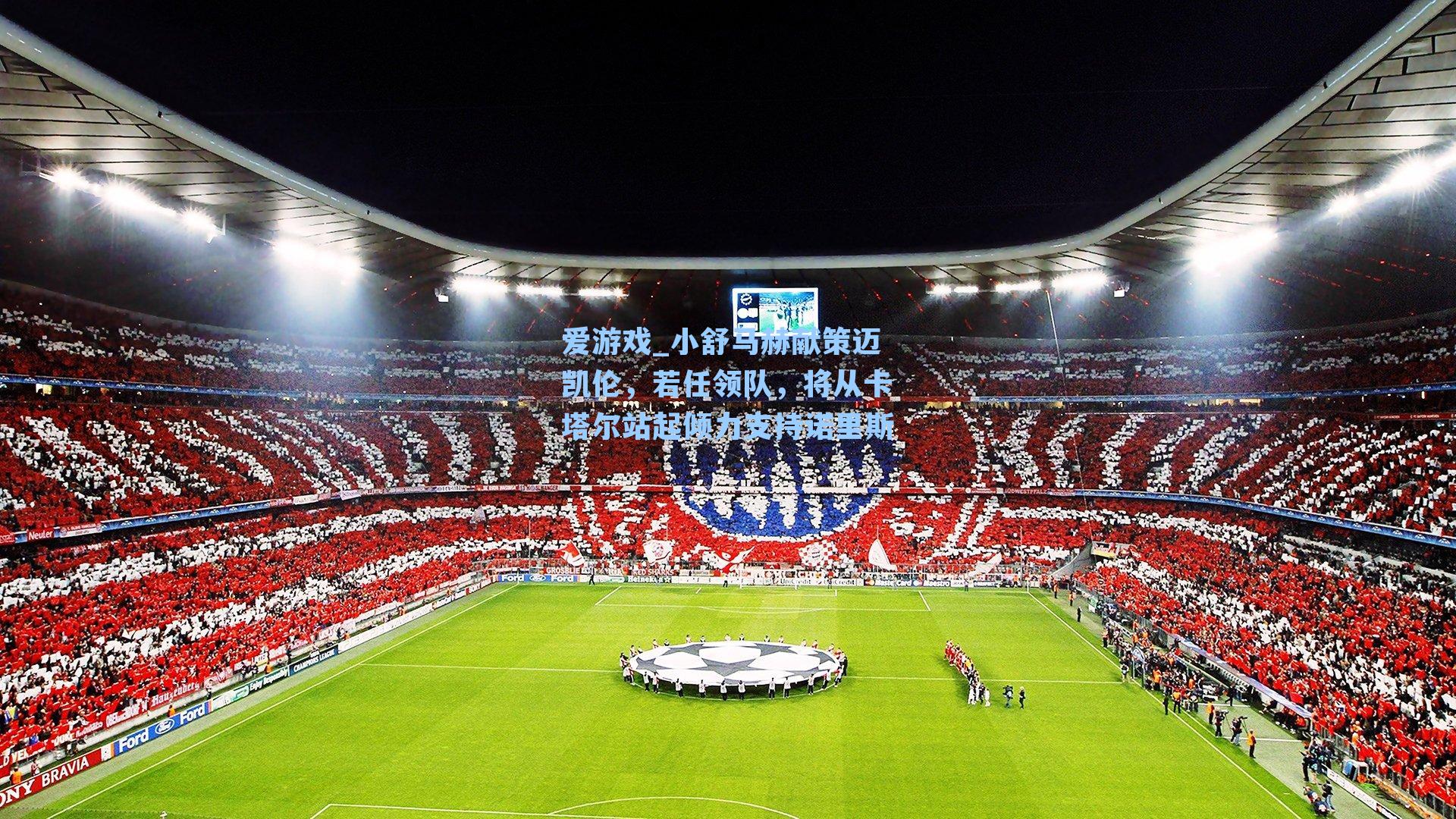 小舒马赫献策迈凯伦，若任领队，将从卡塔尔站起倾力支持诺里斯